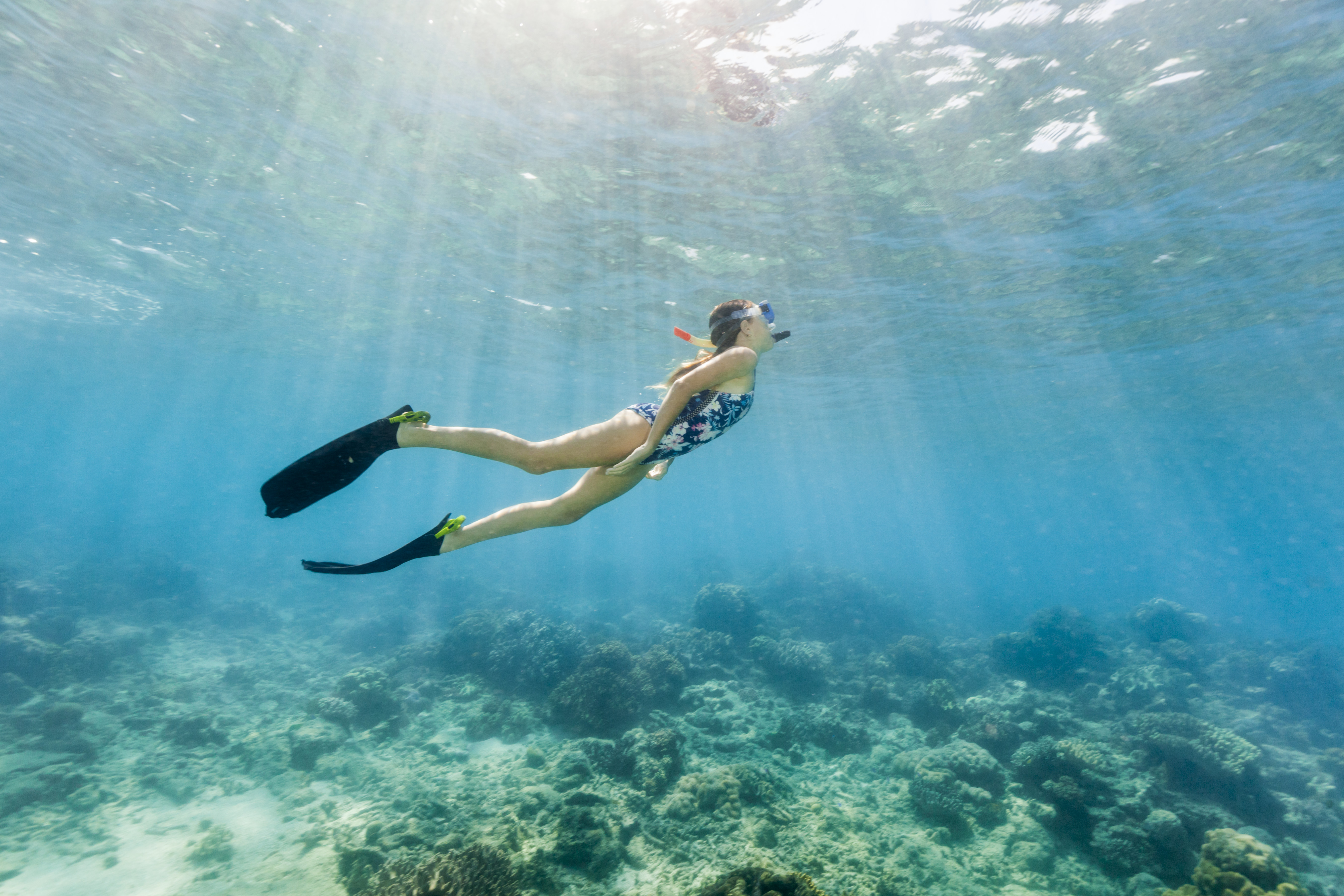 Your Guide To The Great Barrier Reef