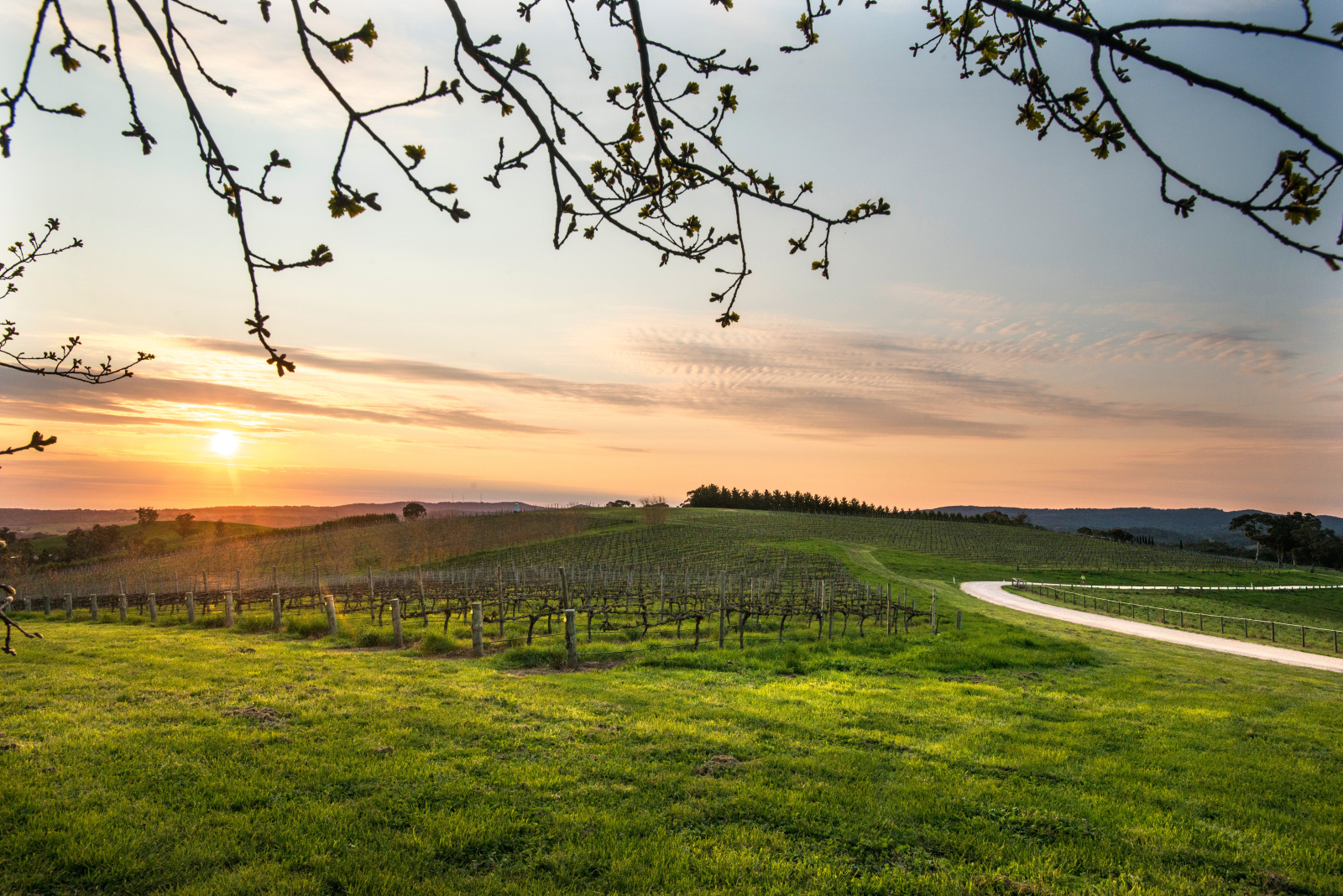 Clare Valley Three-Day Itinerary