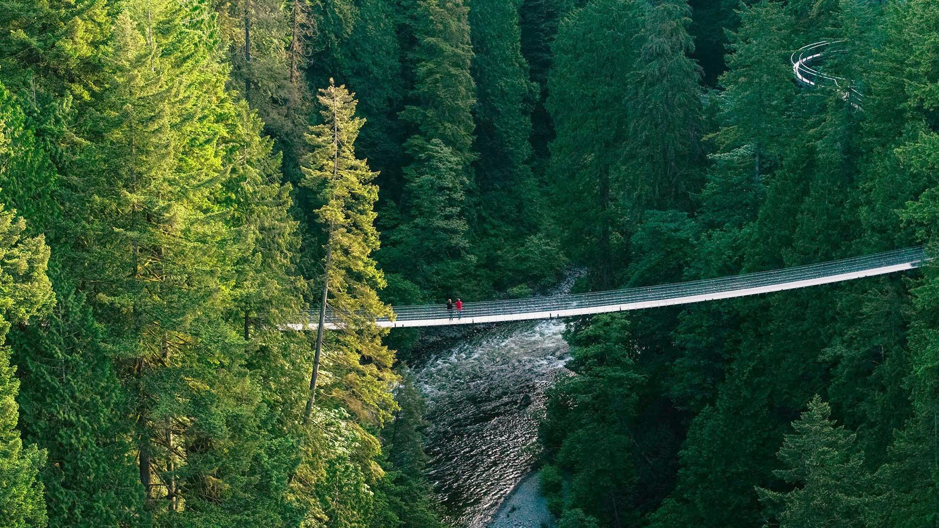 Capilano Suspension Bridge Park | General Admission | Backpacker Deals