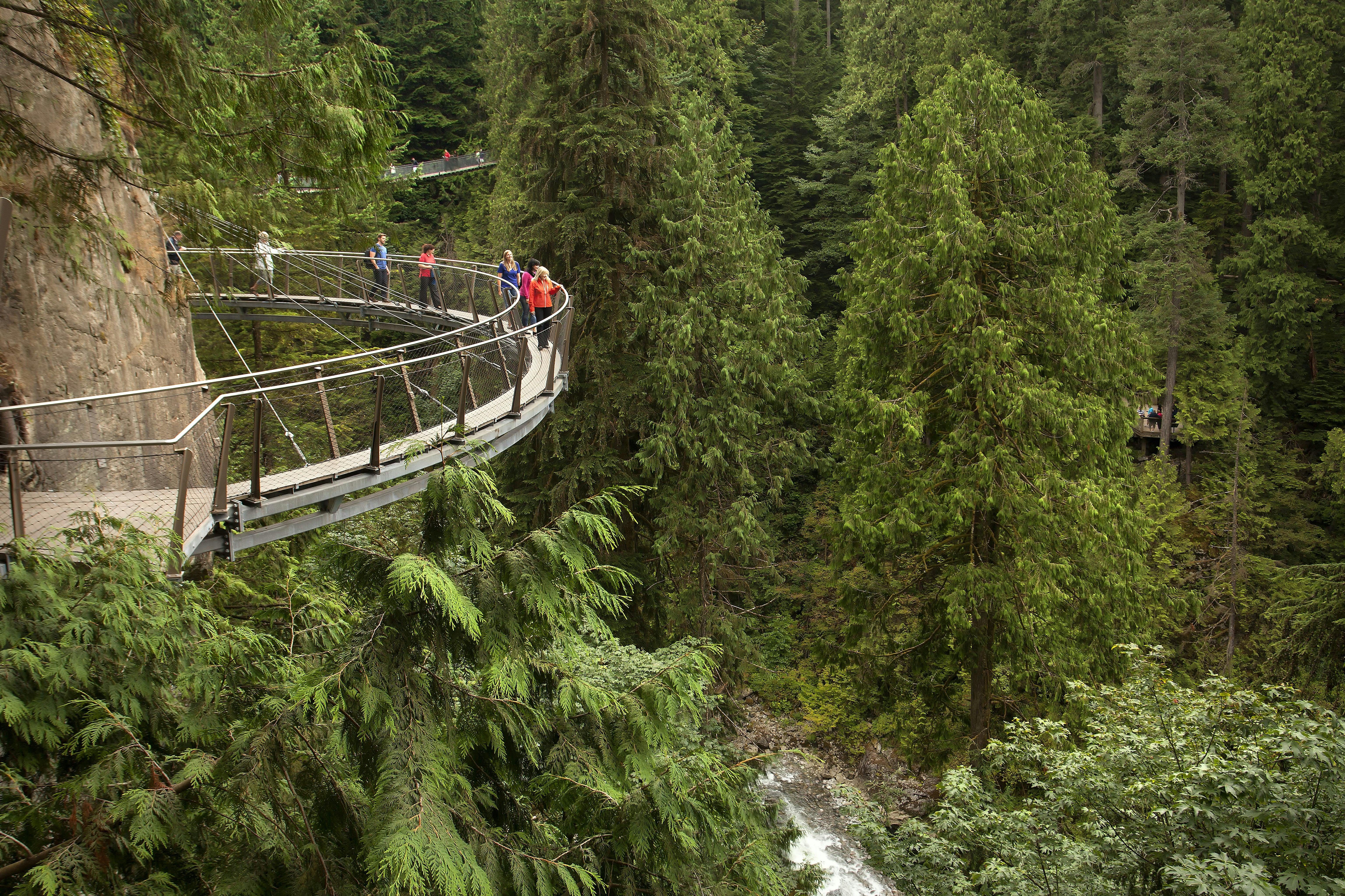 Vancouver City and Capilano Suspension Bridge Tour with Lunch | Backpacker  Deals