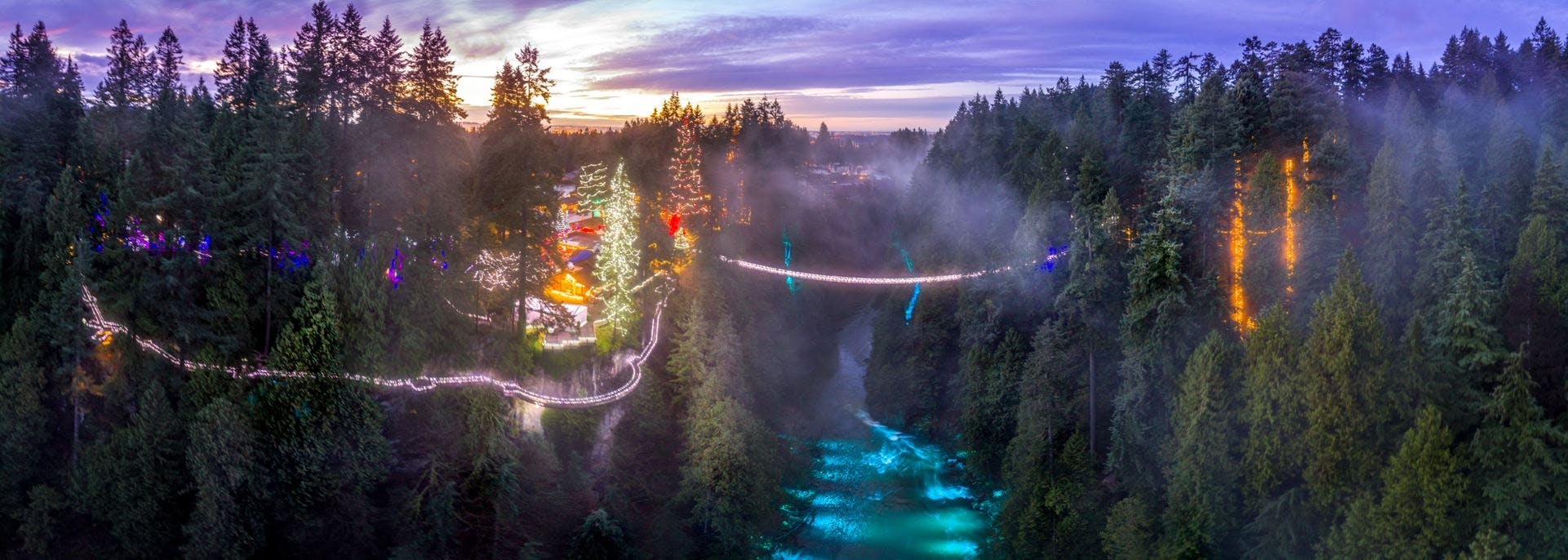 Vancouver and Capilano Canyon lights Christmas Guided Tour | Backpacker  Deals