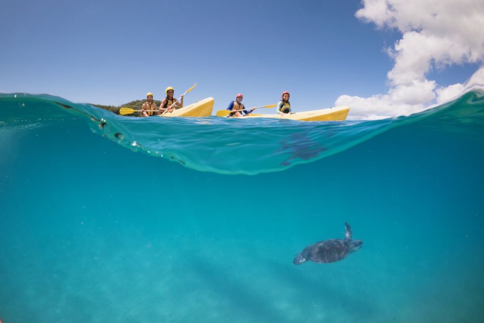 Ocean Kayaking With Dolphins In Byron Bay, Australia (GoPro Edit