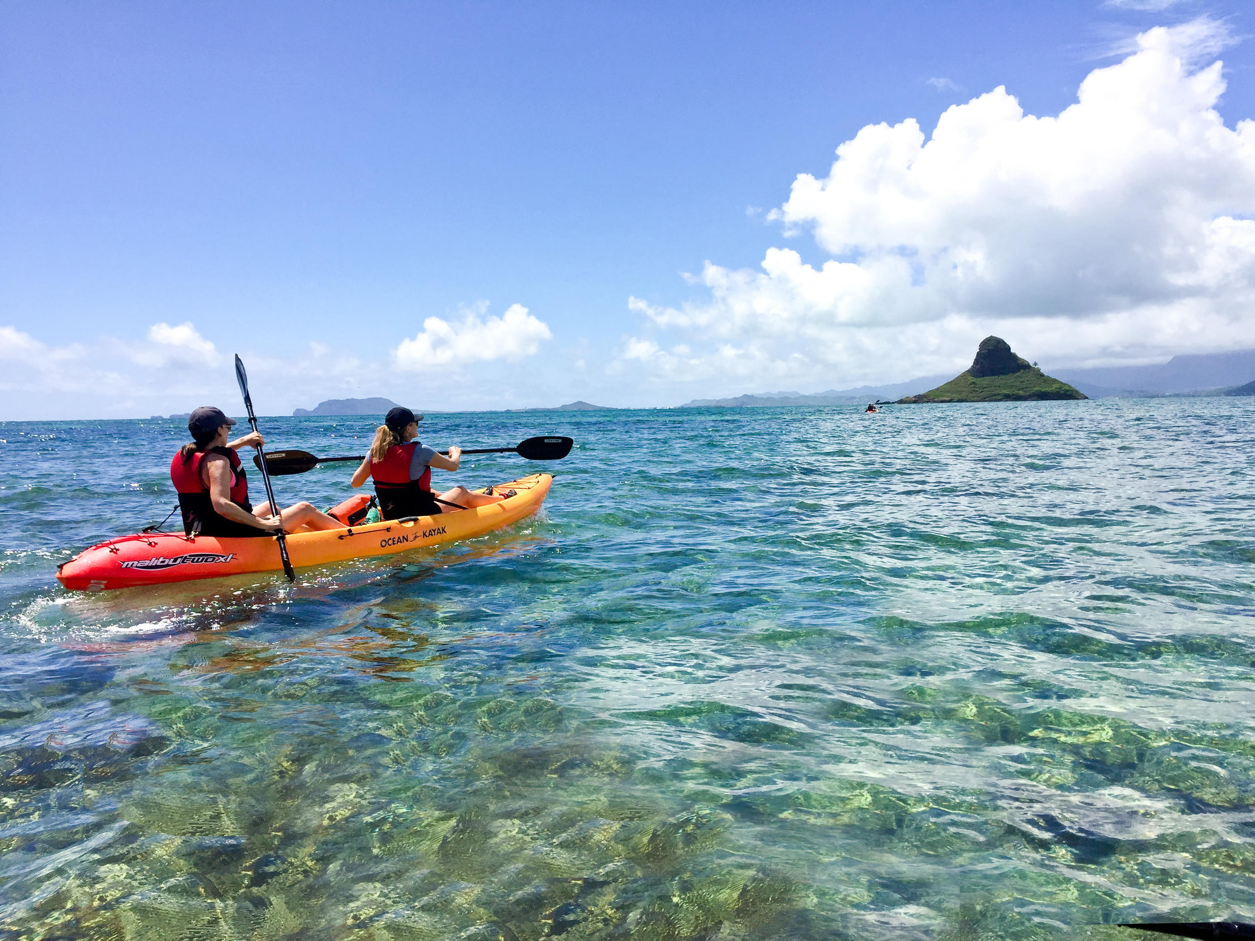 Chinaman's Hat SelfGuided Kayak Tour Backpacker Deals