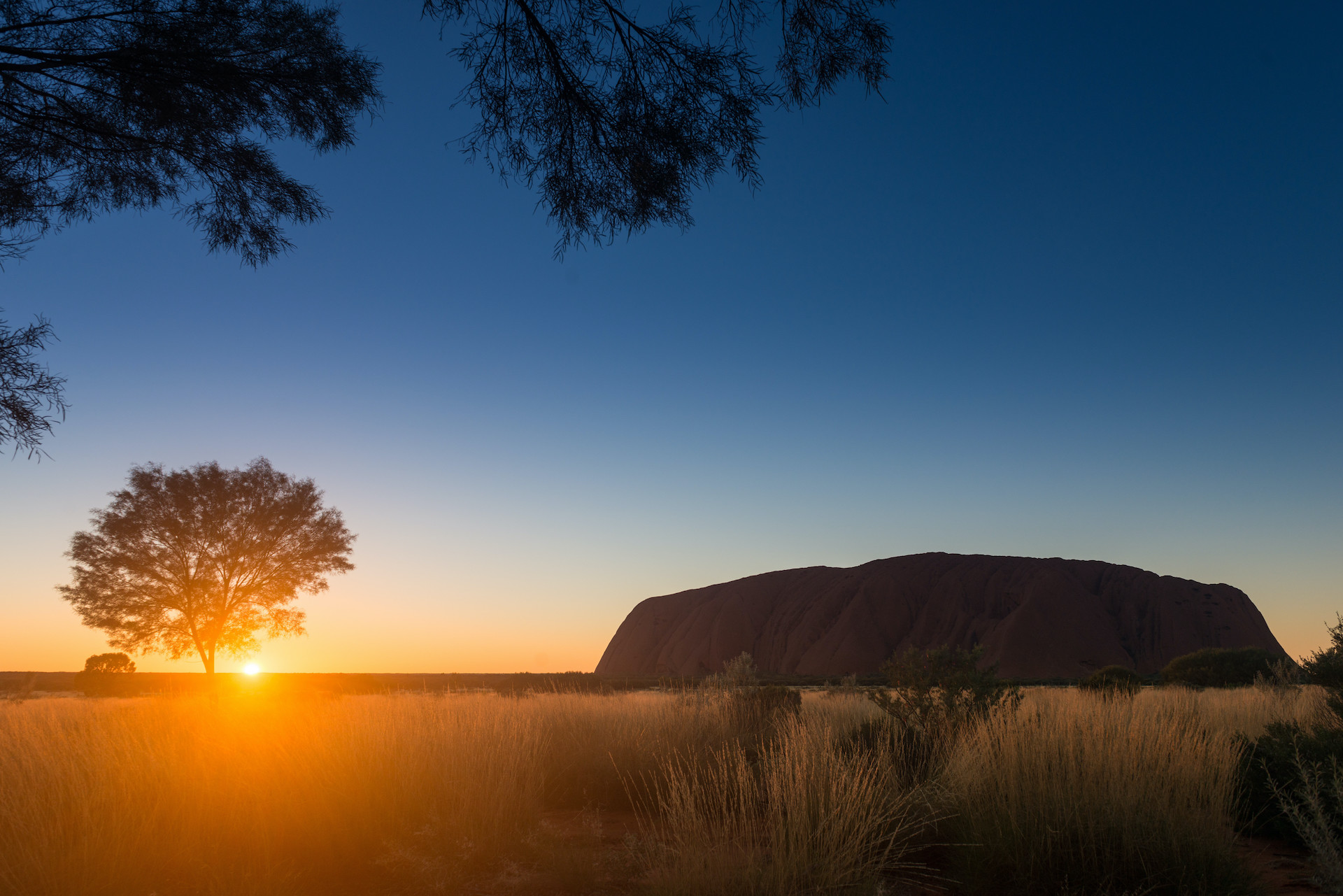 Sunrise at Uluru